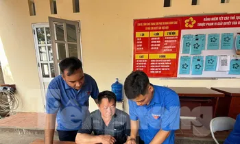 Sức sống mới trên đỉnh Mẫu Sơn