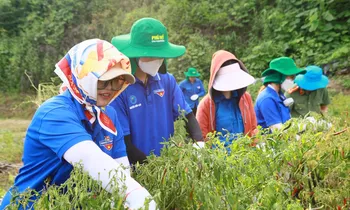 Thu hoạch nông sản cho người dân xứ Lạng.