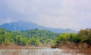 Hướng đi mới đánh thức 'viên ngọc xanh' giữa đại ngàn