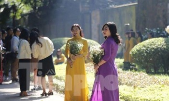 Mùa thu nắng vàng đẹp nao lòng, giới trẻ rộn ràng chụp ảnh trên con đường Hà Nội lãng mạn