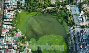 Hà Nội chỉ đạo xử lý việc 'bức tử' ao hồ, xây dựng trái phép tại phường Định Công