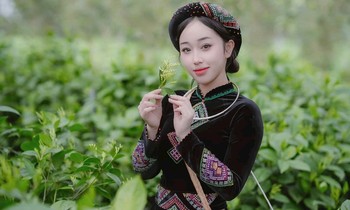 Cao Giang - Nữ phát thanh viên với dự án ‘Hương sắc xứ trà’, lan tỏa giá trị văn hoá trà Việt
