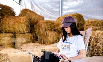 Độc đáo quán cà phê cho khách ngồi cạnh đống rơm