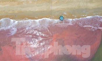 Nước biển ở Hà Tĩnh xuất hiện vệt đỏ lạ dài 3 km
