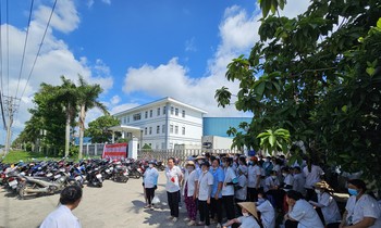 Công nhân đồng loạt nghỉ việc vì bị mùi hôi thối 'tấn công'