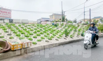 Trên đê Nguyễn Khoái, chỗ trồng rau phủ xanh, chỗ ngập rác ô nhiễm