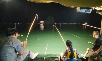 Buông câu bên mạn thuyền trên vịnh Ảnh: Nguyễn Tuấn