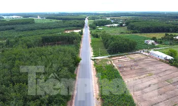 Ngắm tuyến đường như dải lụa xuyên rừng nối các tỉnh, thành miền Đông Nam bộ