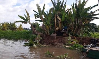Trà Vinh công bố tình huống khẩn cấp sạt lở Cồn Hô