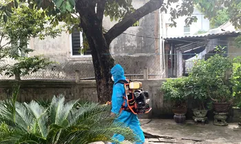 Huế: Ghi nhận 12 ca mắc liên cầu lợn trong gần hai tuần, một người tử vong