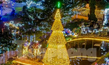 Du khách trầm trồ cây thông Noel làm từ 2.000 chiếc nón lá ở Đà Nẵng