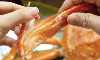 Khách dùng ấm điện trong phòng khách sạn để luộc cua, gây ra vụ khiếu nại hiếm có ở Nhật