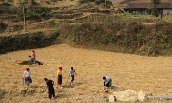 Quy định mới về hỗ trợ đất sản xuất cho hộ đồng bào dân tộc thiểu số