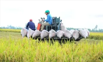Việt Nam thu về 33,8 tỷ USD từ xuất khẩu nông sản, giao thương với Mỹ tăng mạnh