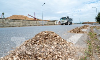 Báo động, vận chuyển gỗ dăm gây ô nhiễm môi trường ở Hạ Long