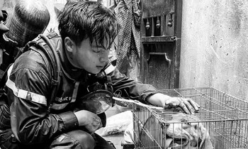 Chủ nhân hit "3107" chia sẻ về cơ duyên gặp gỡ chiến sĩ cảnh sát PCCC hy sinh khi làm nhiệm vụ
