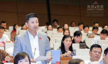 ĐBQH Nguyễn Phi Thường, đoàn Hà Nội