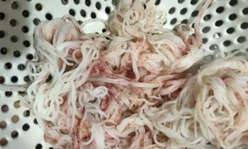 Bún tươi đổi màu lạ tại Đà Nẵng: Cơ sở sản xuất bị đình chỉ khẩn cấp