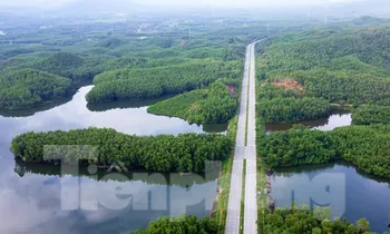 Toàn cảnh phân khu đô thị Sườn đồi gắn với khu phi thuế quan Đà Nẵng