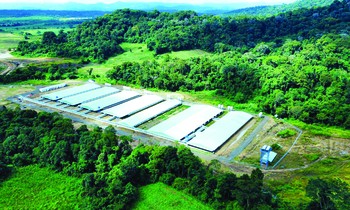 Mavin được vinh danh Top 10 Doanh nghiệp ESG Việt Nam Xanh 2025