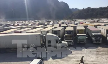 Khẩn trương xử lý việc Trung Quốc đề nghị dừng nhập khẩu hàng hóa 14 ngày