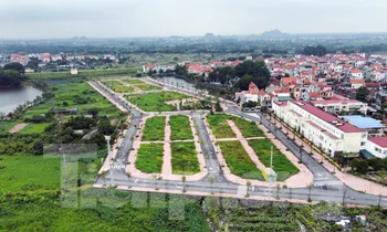 Hà Nội: Rầm rộ đấu giá đất rồi... bỏ hoang lãng phí