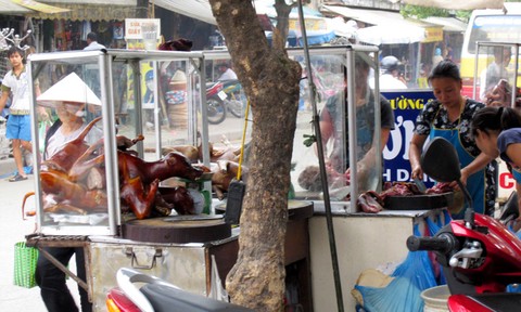 Khi chó chỉ là “cầy tơ”
