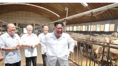 Ông Kim Jong-un giản dị thăm hồ cá, trại gia súc