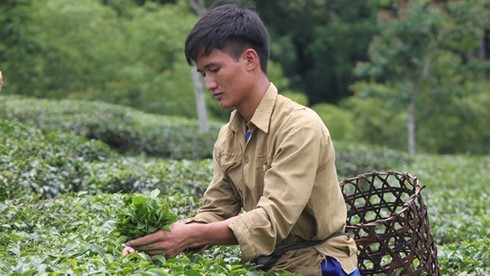 Mơ ước của hai thủ khoa trường Y