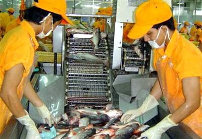 Cá tra Việt Nam ra khỏi danh sách đỏ của WWF tại châu Âu
