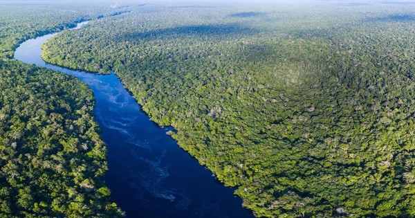 Khung cảnh kỳ vĩ của Amazon - rừng nhiệt đới lớn nhất Trái Đất
