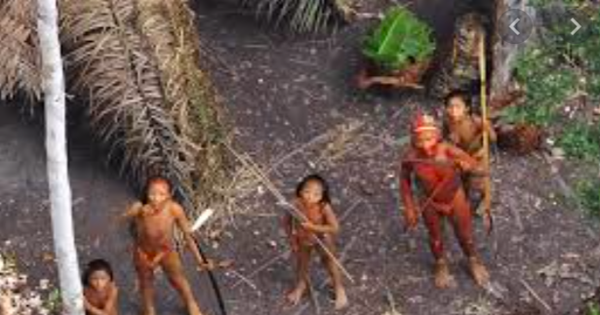COVID-19 đã ‘gõ cửa’ thổ dân tận sâu trong rừng rậm Amazon