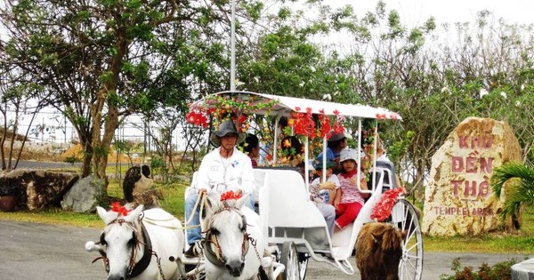 Năm ngọ, về Vũng Tàu cưỡi ngựa lấy may