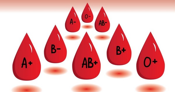 Nhóm máu O có được xem là nhóm máu quý không?

