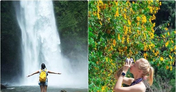 Cao nguyên Di Linh hoang sơ, đẹp quên lối về thu hút giới trẻ