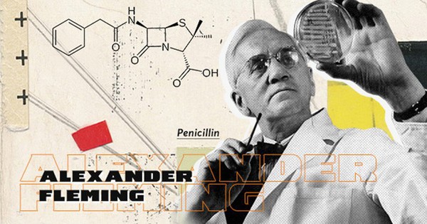Tổng quan về thuốc kháng sinh penicillin được sản xuất từ nấm và tác dụng điều trị