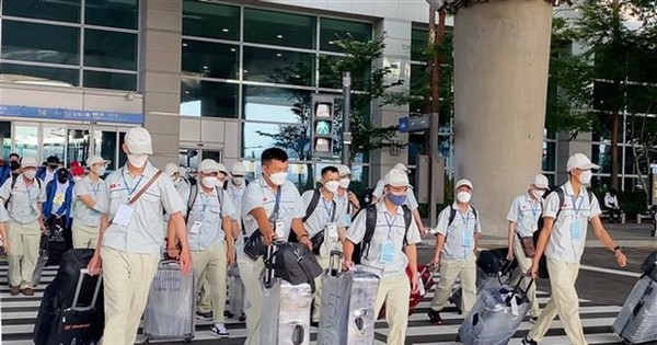 Người Việt lao động 'chui' ở Hàn Quốc tự nguyện về nước được miễn phạt