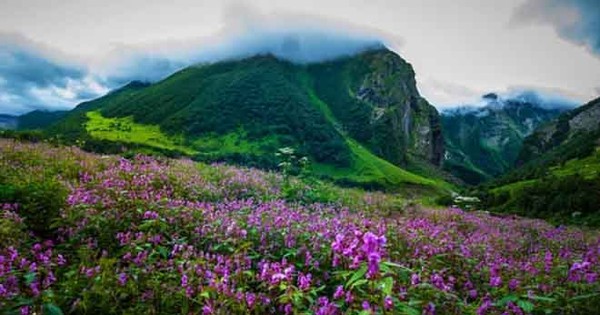 Cảnh đẹp thiên nhiên tuyệt mỹ của Việt Nam