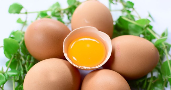 Trứng có chứa gì và có lợi cho sức khỏe? 