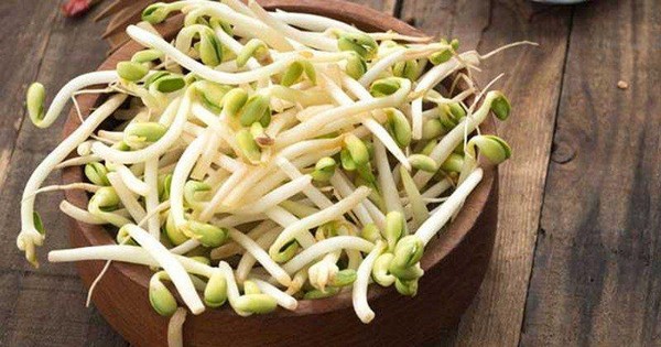 Giá đỗ rất bổ dưỡng nhưng cần lưu ý những điều sau để tránh nguy cơ trúng độc, thậm chí mắc ung thư Giá Đỗ Rất Bổ Dưỡng Nhưng Cần Lưu Ý Những Điều Sau Để Tránh Nguy Cơ Trúng Độc, Thậm Chí Mắc Ung Thư