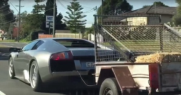 Dân chơi Úc dùng Lamborghini giá 6 tỉ đồng để... kéo dê