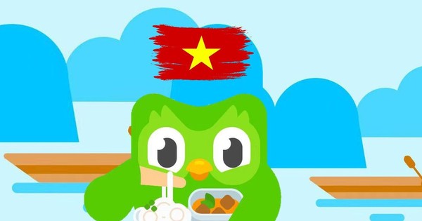 Google đầu tư 45 triệu USD vào ứng dụng học ngoại ngữ Duolingo | Công nghệ  | Vietnam+ (VietnamPlus)
