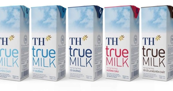 Th True Milk Là Doanh Nghiệp Đầu Tiên Xuất Khẩu Sữa Chính Ngạch Sang Trung  Quốc