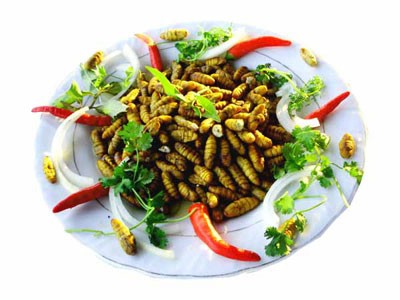 Nhộng tằm là một loại thức ăn bổ dưỡng được săn lùng bởi cuộc sống thực vật của chúng. Hãy cùng nhìn những hình ảnh này để tìm hiểu về cách nhộng tằm được sử dụng trong nhiều món ăn ngon của người Việt.