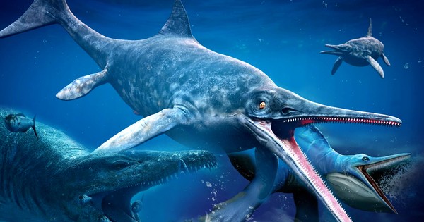 Lộ diện 5 loài quái vật khủng khiếp nhất đại dương