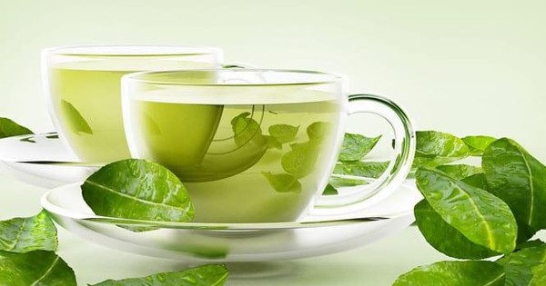 Lợi ích thần kỳ của trà xanh bạn nên biết Lợi ích thần kỳ của trà xanh bạn nên biết