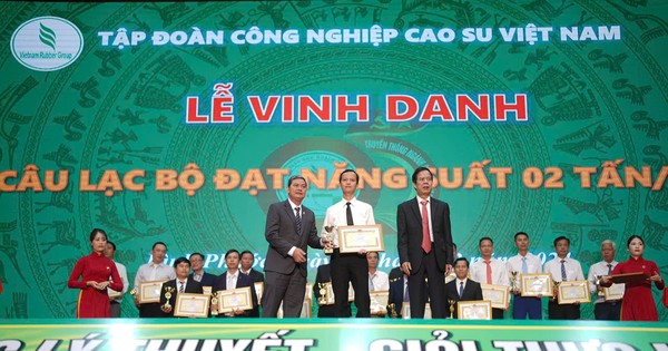 Tập đoàn Công nghiệp Cao su Việt Nam vinh danh công ty đạt năng suất trên 2 tấn/ha