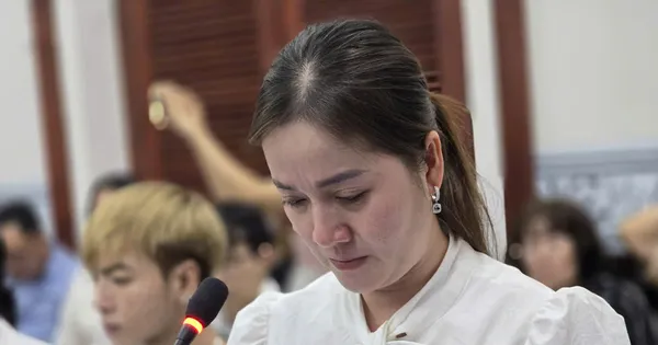 Tình huống phải hoãn phiên tòa của con nuôi NSƯT Vũ Linh