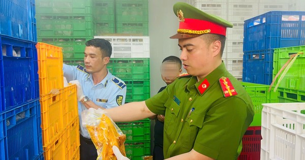 Hà Nội: Phát hiện 20 tấn gà ủ muối, nội tạng không rõ nguồn gốc