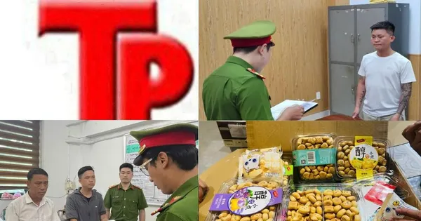 Bản tin Hình sự: Làm ăn thua lỗ, giám đốc doanh nghiệp buôn ma túy kiếm lời